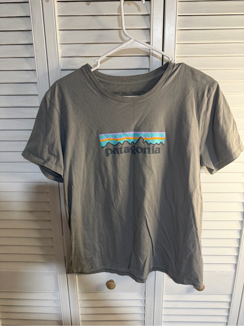 Patagonia Youth Gray Tee with Multicolor Mountain Logo